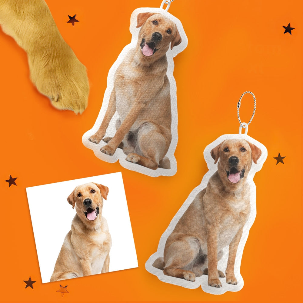 Custom Pet Pillow Personalized Picture Pillow Cat Shaped Pillow Decorative Pillow Pet Lover Gift Home Decor